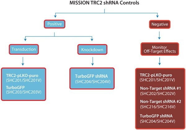 TRC2 shRNA Controls