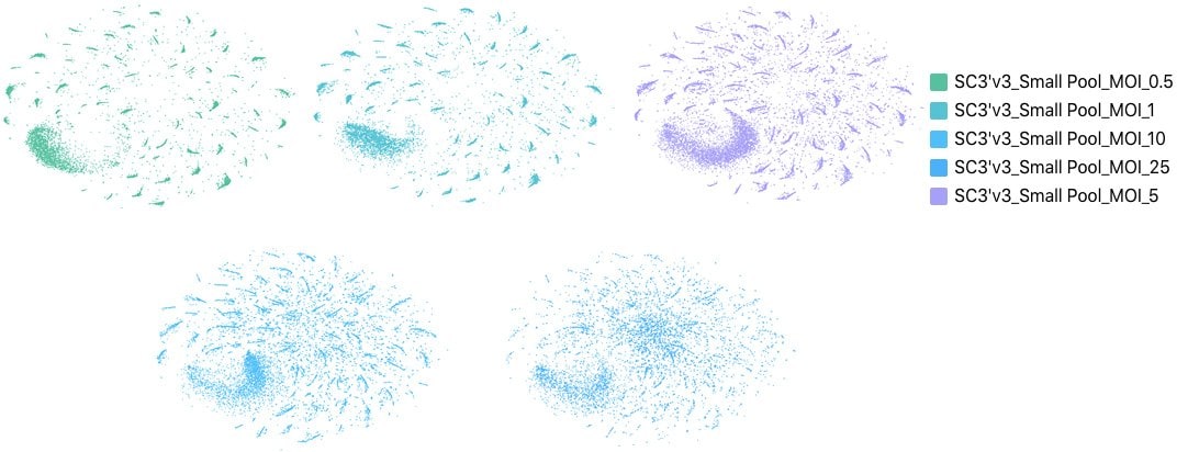 Monitoring multiple viral transductions at single cell resolution