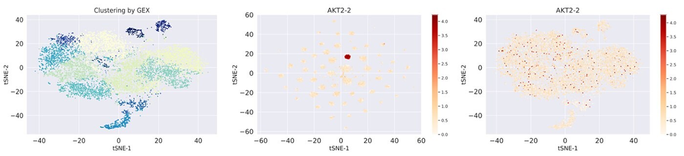 Single cell clustering by GEX and gRNA