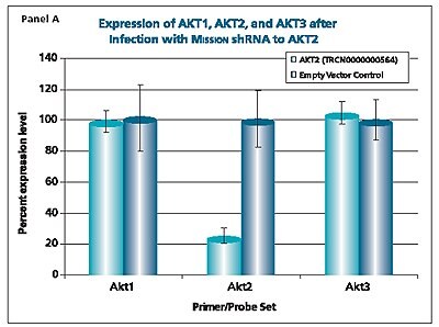 Mission shRNA to AKT2