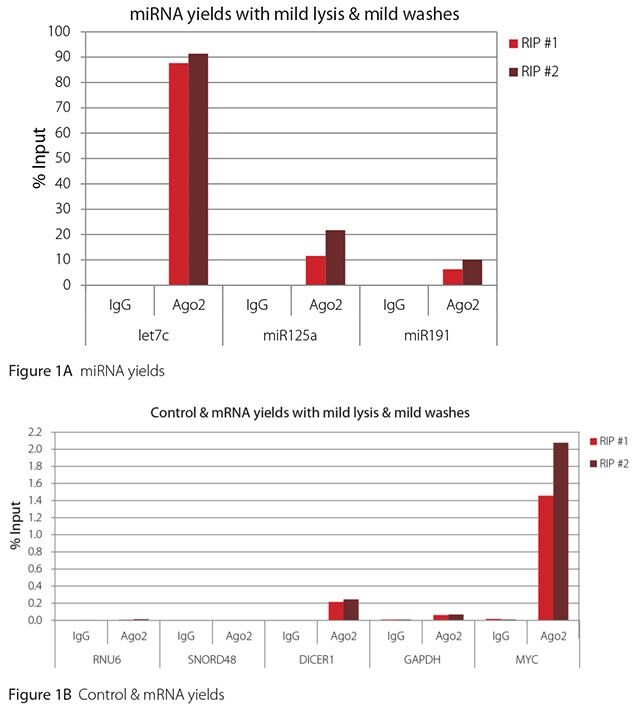 RT-qPCR results for Ago2 RIP with mild lysis and mild washes