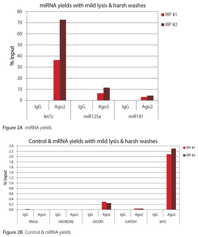 RT-qPCR results for Ago2 RIP with mild lysis and harsh washes