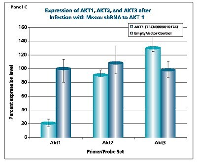 MISSION® shRNA to AKT1