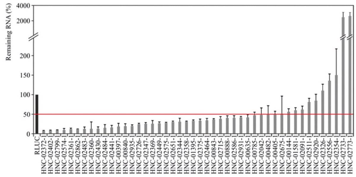 qPCR data validating knockdown of lncRNA in HeLa cells 24 hours post-transfection with corresponding esiRNA