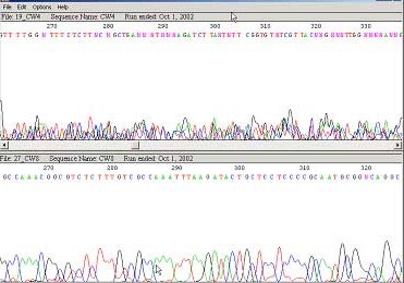 Sequence analysis