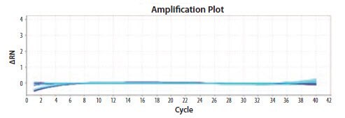 Primers to EIFB1 were tested at concentrations between 200 nM and 900 nM