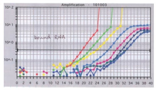 During a standard qPCR the data suddenly spike upward with a non-typical profile