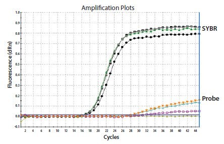 Identical reactions were run containing either a qPCR probe or SYBR Green I dye (as indicated)