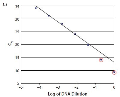 The samples with high concentrations of template do not lie on the standard curve