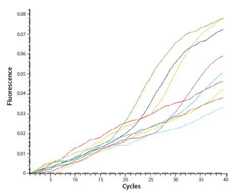 The assay has an unusual amplification plot profile with a pronounced drift of the baseline