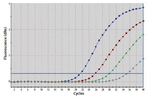 A template nucleic acid was diluted through a 10-fold series