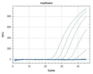 SARS-CoV-2 detection assays utilizing the ABScript II One Step RT-qPCR Probe Kit (Cat. No. RK20407) for primer targets N1 (graph A) and N2 (graph B).