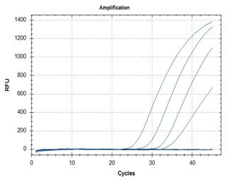  SARS-CoV-2 detection assays utilizing the Quantitative RT-PCR ReadyMix™ (Cat. No. QR200) for primer targets N1 (graph A) and N2 (graph B).