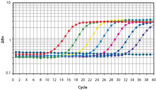 qPCR for measuring gene-level expression