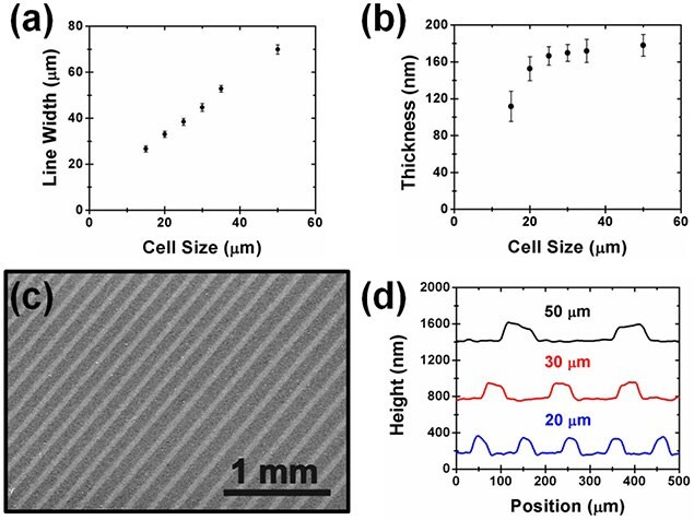 Characterization of gravure printed graphene lines