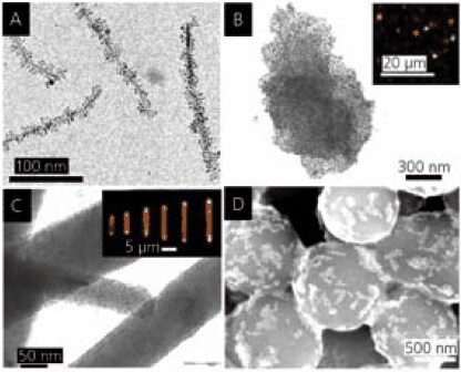 Surface Coatings and Hierarchical Assemblies