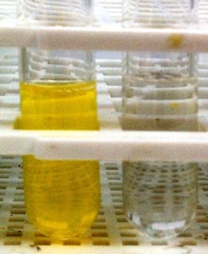 solutions with (left) and without (right) stabilizing polymer.