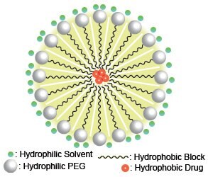 Schematic example of drug-loaded micelles