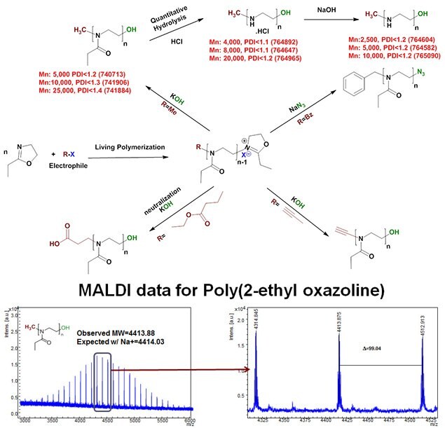 Polyoxazolines and Linear polyethylenimines