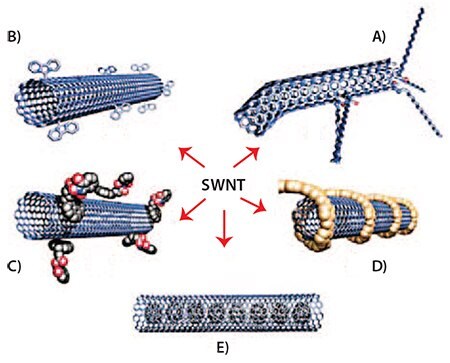 Functionalization strategies of SWNTs