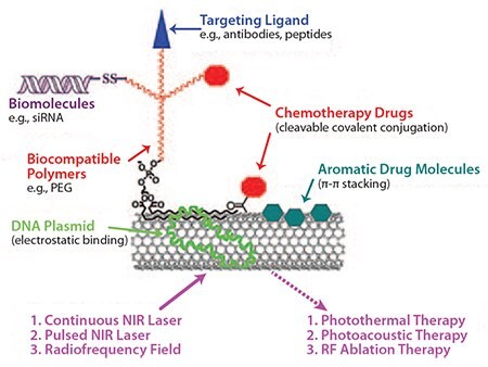 Schematic strategies of SWNTs-based drug-delivery and cancer therapy.