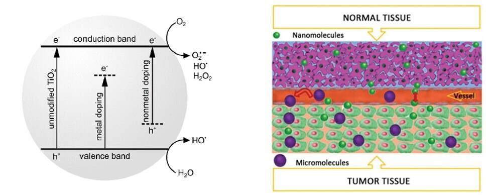 (A) Simplified mechanism of the reactive oxygen species generated by TiO2. (B) Schematic presentation of enhanced permeability and retention (EPR) effects in tumor tissue. The nanomolecules can easily cross the blood capillary endothelial cells, whereas micromolecules can only stay in the tumor tissue due to the larger intercellular space compared to normal tissue.