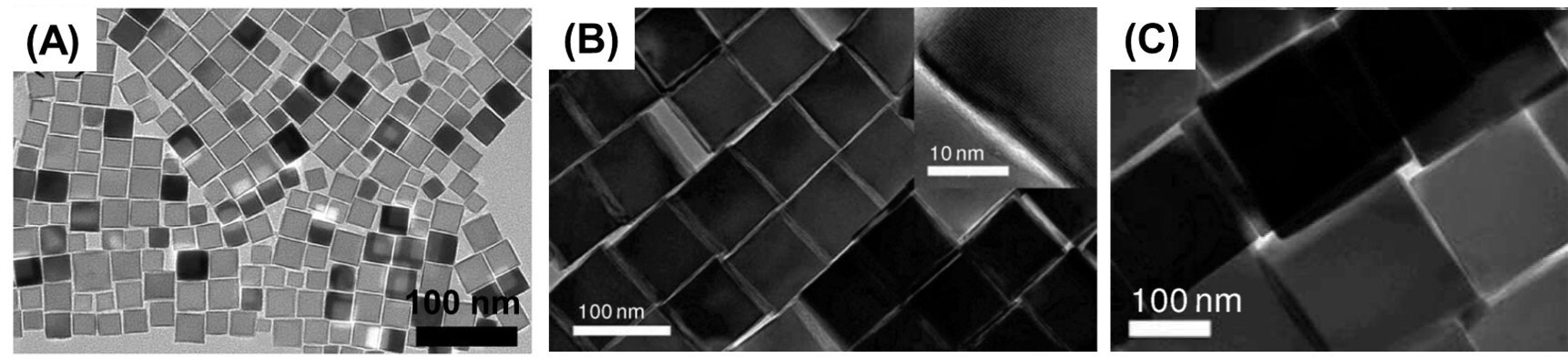 TEM images of IONCs synthesized