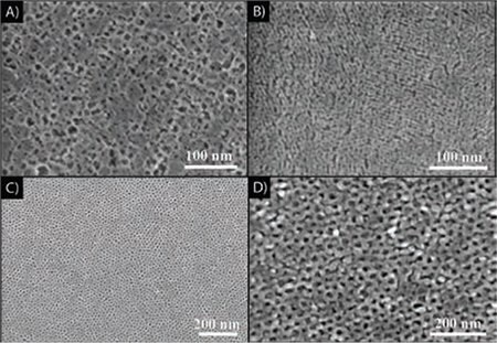 SEM images of the TiO2 thin films