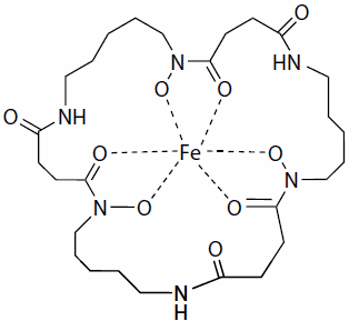 Structure of ferrioxamine E