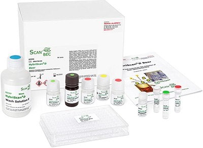 HybriScan®kits for detection and identification of microorganisms