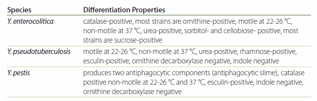 Differentiation of the important Yersinia species C