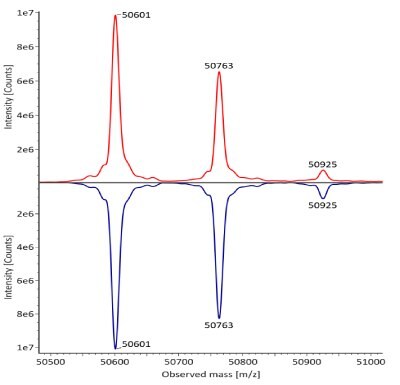 The deconvoluted mass spectra for the heavy chain of fully reduced trastuzumab reveal distinct peaks at mass values of 50601, 50763, and 50925 from left to right. The innovator is depicted by a red curve, and the biosimilar by a blue curve, with intensity measured in counts on the y-axis and observed mass on the x-axis.