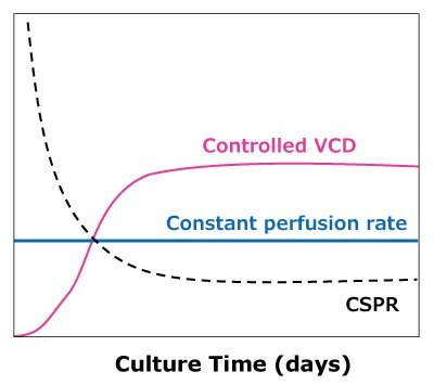 In dynamic perfusion, VCD is allowed to reach a maximum level while running at a constant perfusion rate, reaching a minimum CSPR. In steady state perfusion, a minimum CSPR is not reached as cell growth is controlled through bleed, maintaining a constant VCD below the maximum.