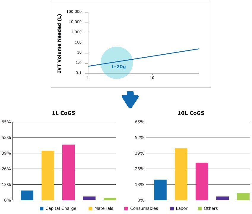 Two strategies for meeting a low annual forecasted mRNA demand.