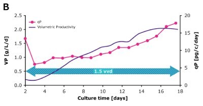 In dynamic perfusion, a high viable cell density (VCD) of 150 × 10^6 cells/mL at 1.5 VVD was achieved, and both volumetric (VP) and cell specific (qP) productivities were increased over time. In steady state perfusion, target VCD of 50 × 10^6 cells/mL was maintained at 1.5 and 1.0 VVD, and both VP and qP remained stable.