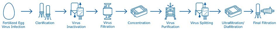 Egg-based influenza vaccine manufacturing process