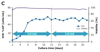 In dynamic perfusion, a high viable cell density (VCD) of 150 × 10^6 cells/mL at 1.5 VVD was achieved, and both volumetric (VP) and cell specific (qP) productivities were increased over time. In steady state perfusion, target VCD of 50 × 10^6 cells/mL was maintained at 1.5 and 1.0 VVD, and both VP and qP remained stable.