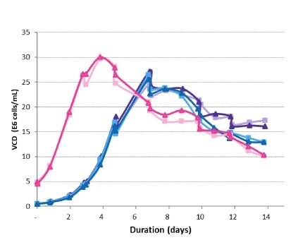 Viable cell density trends measured in the production bioreactors over 14 days. 