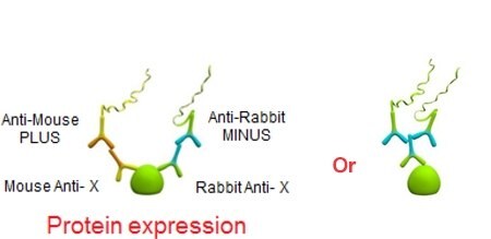 Low Abundant Proteins