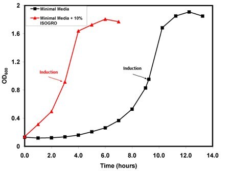 Growth Curve cTnC(1-89) pLysS. OD600 versus time (hours).