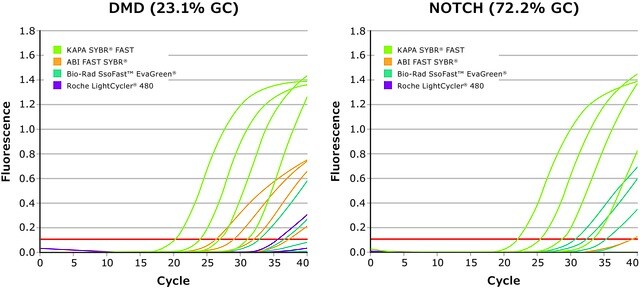 Figure 3: KAPA SYBR® FAST Kit: Superior performance and quantification for KAPA SYBR® FAST compared to competitor kits for DMD and NOTCH target gene amplification using human genomic DNA.