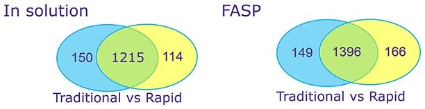 omplex Proteins CHO host cell proteins