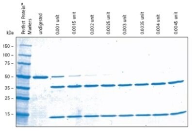 SDS-PAGE gradient gel showing biotinylated thrombin cleavage with a 2.25-fold overdigestion in the last lane (0.0045-unit).