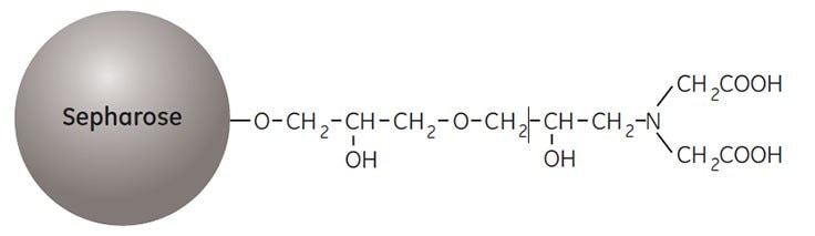 Partial structure of Chelating Sepharose High Performance and Chelating Sepharose Fast Flow.