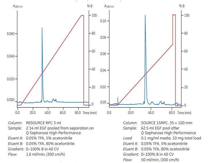 Preparative separation of a recombinant protein