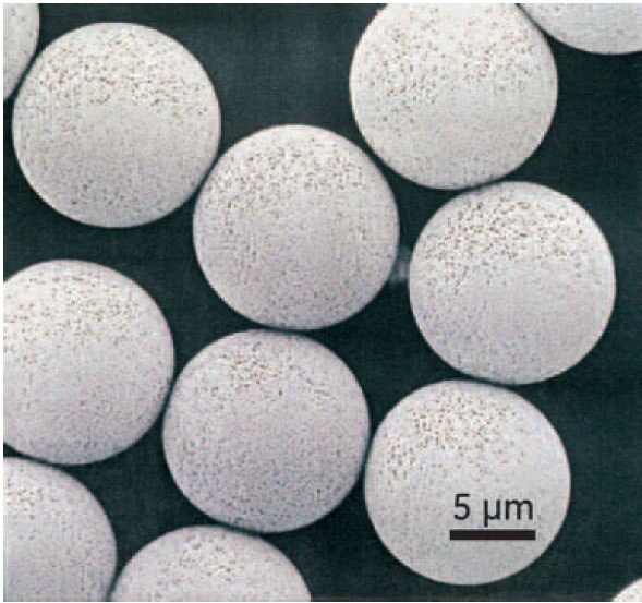 Scanning electron micrograph of SOURCE™ 15RPC shows the uniform size distribution