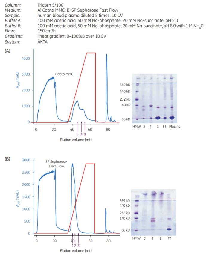 Capto MMC and SP Sepharose Fast Flow