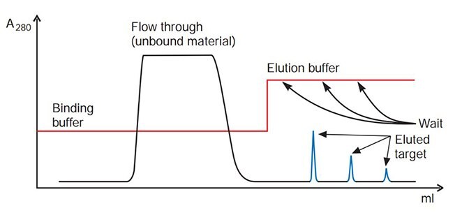 Target elutes in a broad, low peak