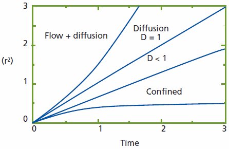 Mean square displacement (MSD) of target molecules having different diffusion modes. Freely diffusing molecules feature an MSD (D=1) proportional with time: MSD ∝ tn=1. 