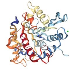 Structure of glycosylated human glutaminyl cyclase